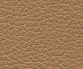 Paloma Tan Stressless Leather Color